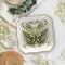 Luna Moth Botanical Trinket & Soap Dish