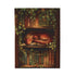 Sleeping Dragon Bookshelf Blanket – Cosy Velveteen Fleece Fantasy Throw
