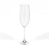 Witchy Herbal Engraved Champagne Glass | Botanical Prosecco Flute