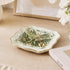 Luna Moth Botanical Trinket & Soap Dish