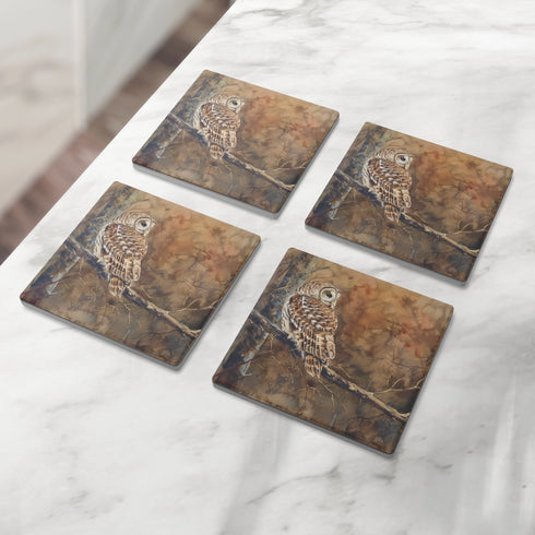 Barred Owl In Forest Stone Coaster Set
