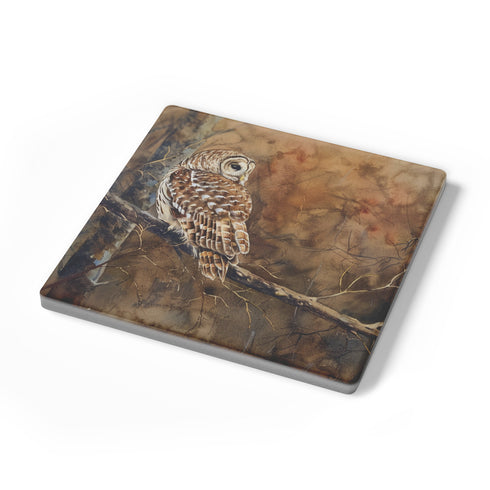 Barred Owl In Forest Stone Coaster Set