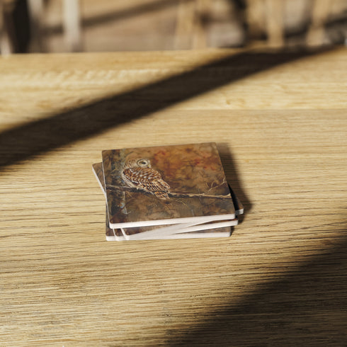 Barred Owl In Forest Stone Coaster Set