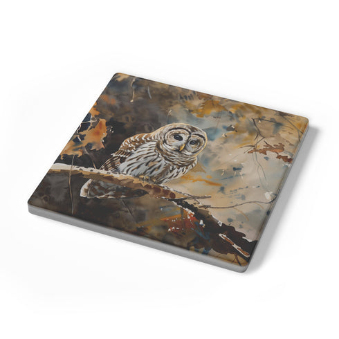 Barred Owl In Tree Coaster Set
