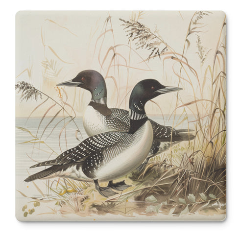 Minnesota Loons Stone Coaster Set