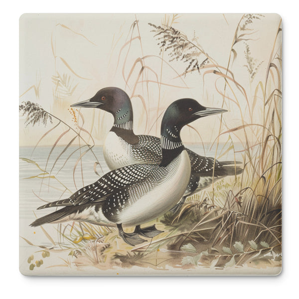 Minnesota Loons Stone Coaster Set