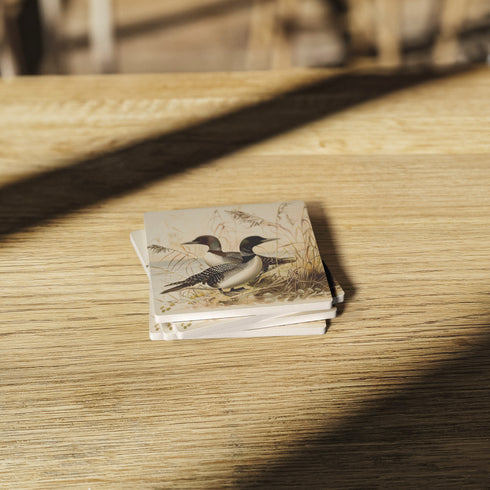 Minnesota Loons Stone Coaster Set