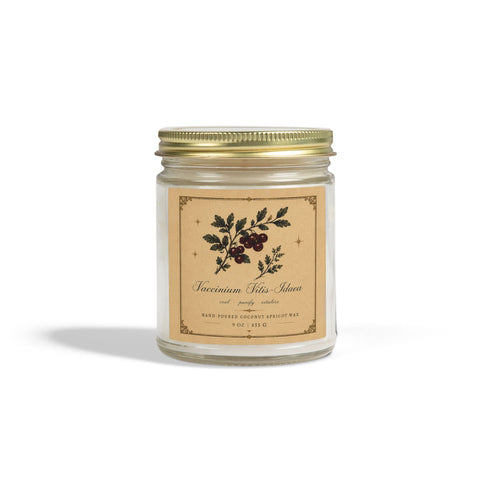 Crimson Berries Botanical Candle | Coconut Apricot Wax, 4 oz & 9 oz
