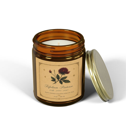 Red Clover Botanical Candle | Coconut Apricot Wax, 4 oz & 9 oz