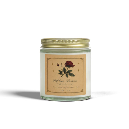 Red Clover Botanical Candle | Coconut Apricot Wax, 4 oz & 9 oz