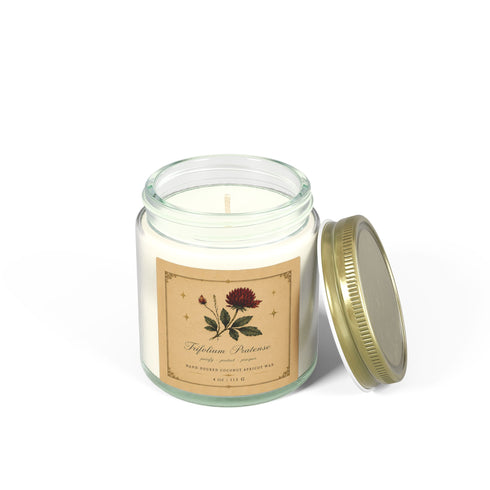 Red Clover Botanical Candle | Coconut Apricot Wax, 4 oz & 9 oz