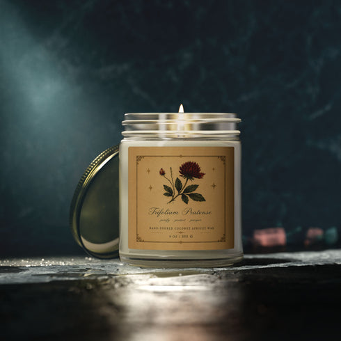 Red Clover Botanical Candle | Coconut Apricot Wax, 4 oz & 9 oz