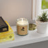 Red Clover Botanical Candle | Coconut Apricot Wax, 4 oz & 9 oz