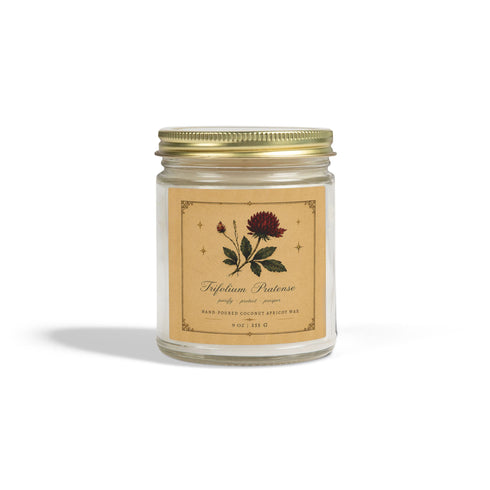 Red Clover Botanical Candle | Coconut Apricot Wax, 4 oz & 9 oz