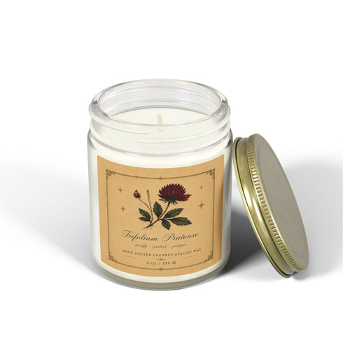 Red Clover Botanical Candle | Coconut Apricot Wax, 4 oz & 9 oz