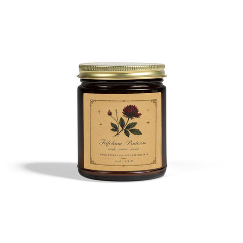 Red Clover Botanical Candle | Coconut Apricot Wax, 4 oz & 9 oz