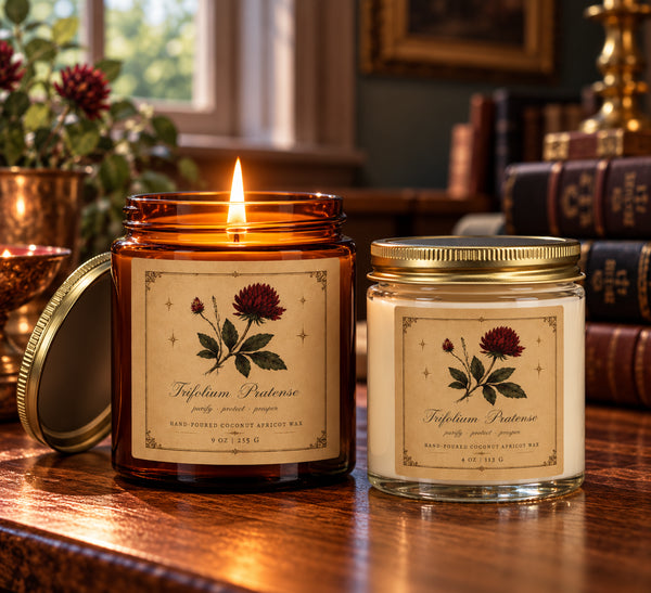 Red Clover Botanical Candle | Coconut Apricot Wax, 4 oz & 9 oz